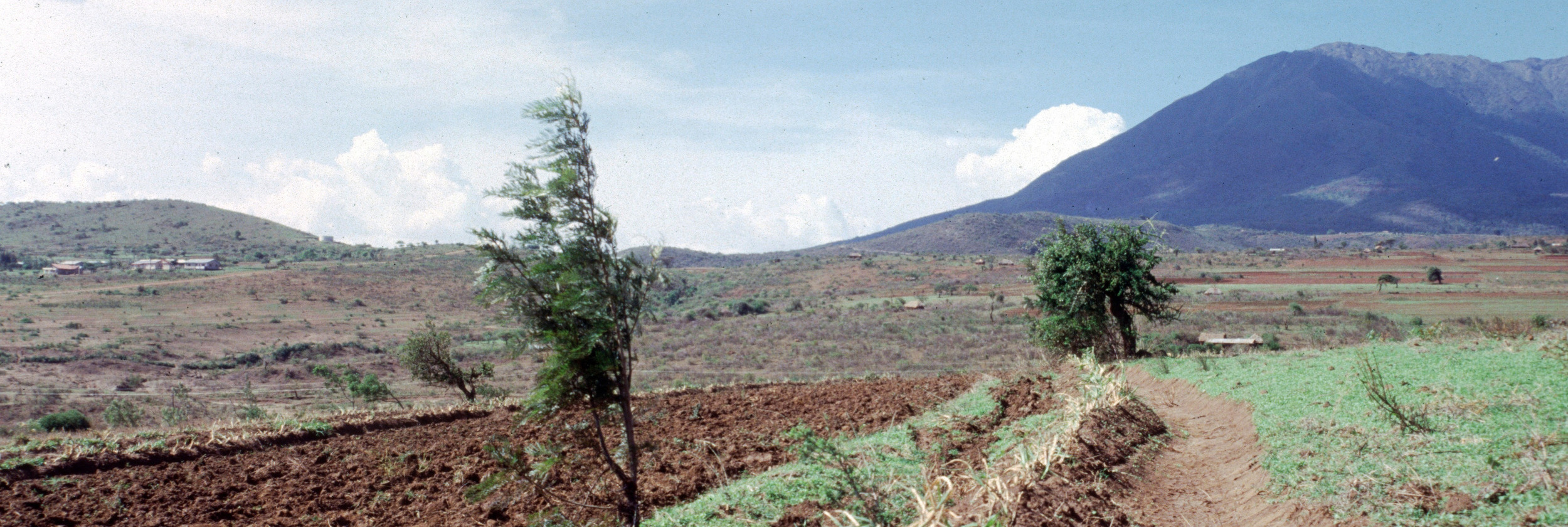 Contour farming